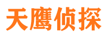 虹口市调查公司